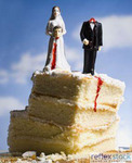 divorce_cake_1.jpg